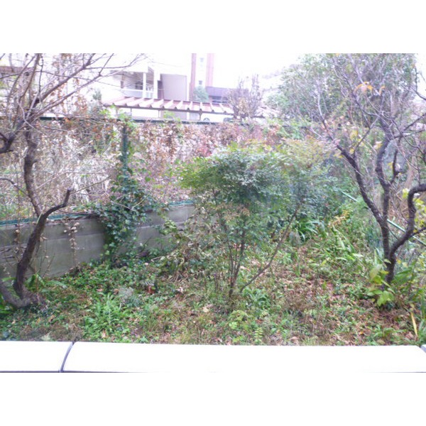 Garden. It is with a garden