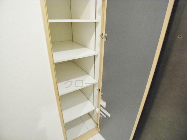 Entrance. Footwear purse