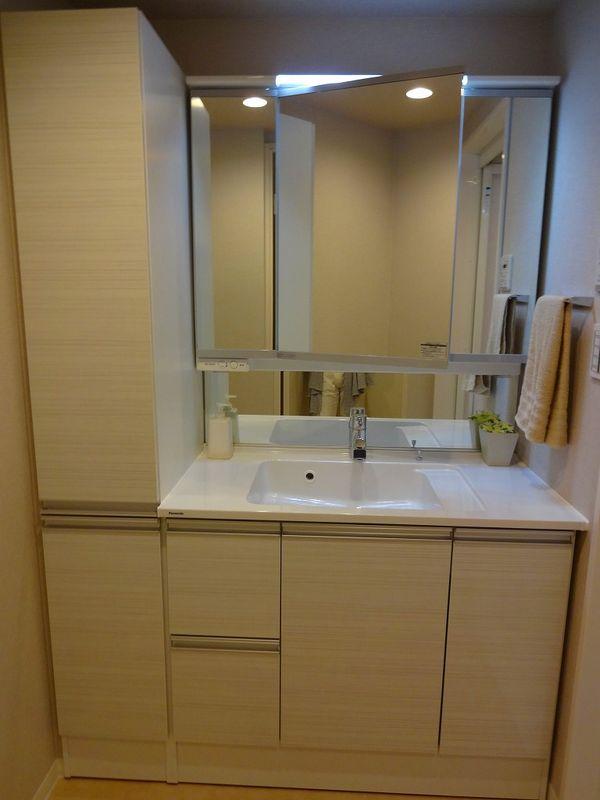 Wash basin, toilet. Bathroom vanity