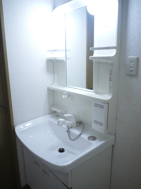 Washroom. Popular shampoo dresser!