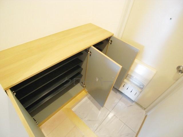 Entrance. Footwear purse