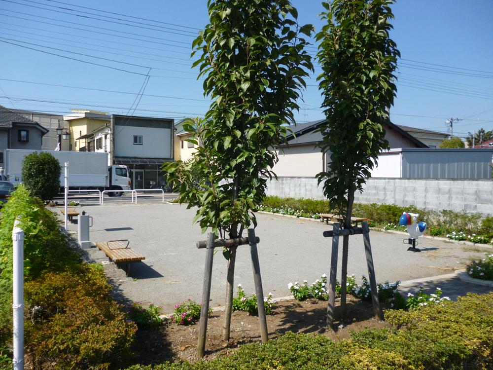 Other local. Local (September 2013) Shooting