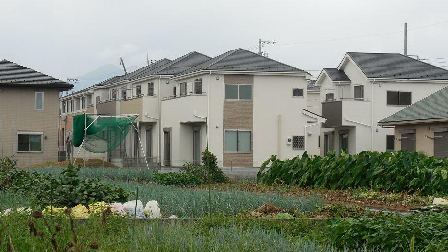 Local appearance photo. Local (September 2013) Shooting