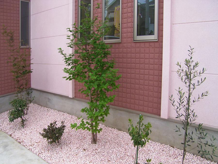 Other local. Local (2013. year April) Shooting