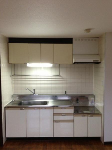 Kitchen. Gas stove is can be installed property