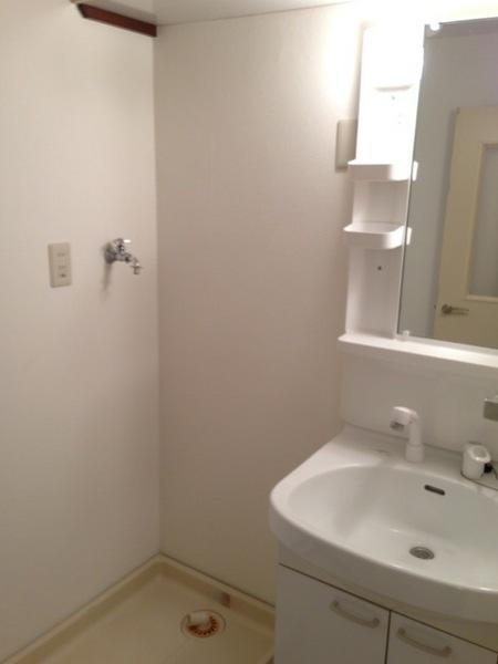 Washroom. Shampoo dresser with vanity