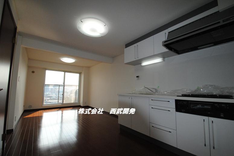 Kitchen. Indoor (July 2012) shooting