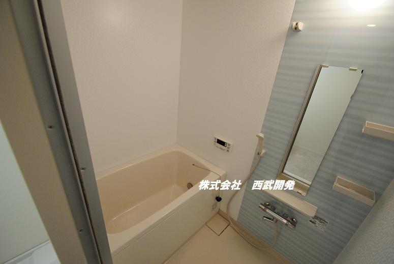 Bathroom. Indoor (July 2012) shooting