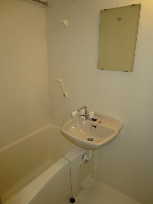 Bath. Washing machine in the room