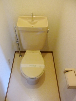 Toilet. Toilet