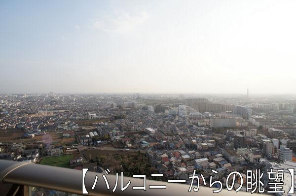 View photos from the dwelling unit. View from the 33rd floor