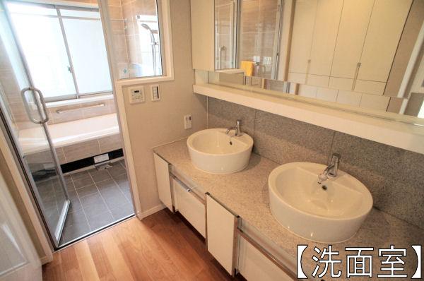 Wash basin, toilet. Wash double bowl