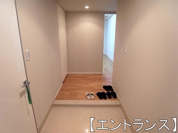 Entrance. Shoes-in closet on the left