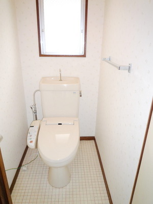 Toilet. Western-style toilet