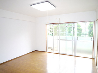 Other room space. Flooring