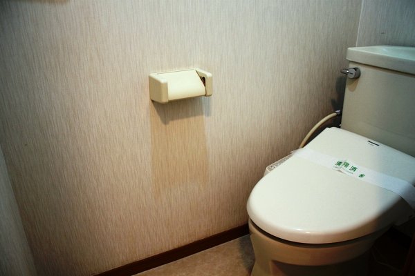 Toilet. With Washlet