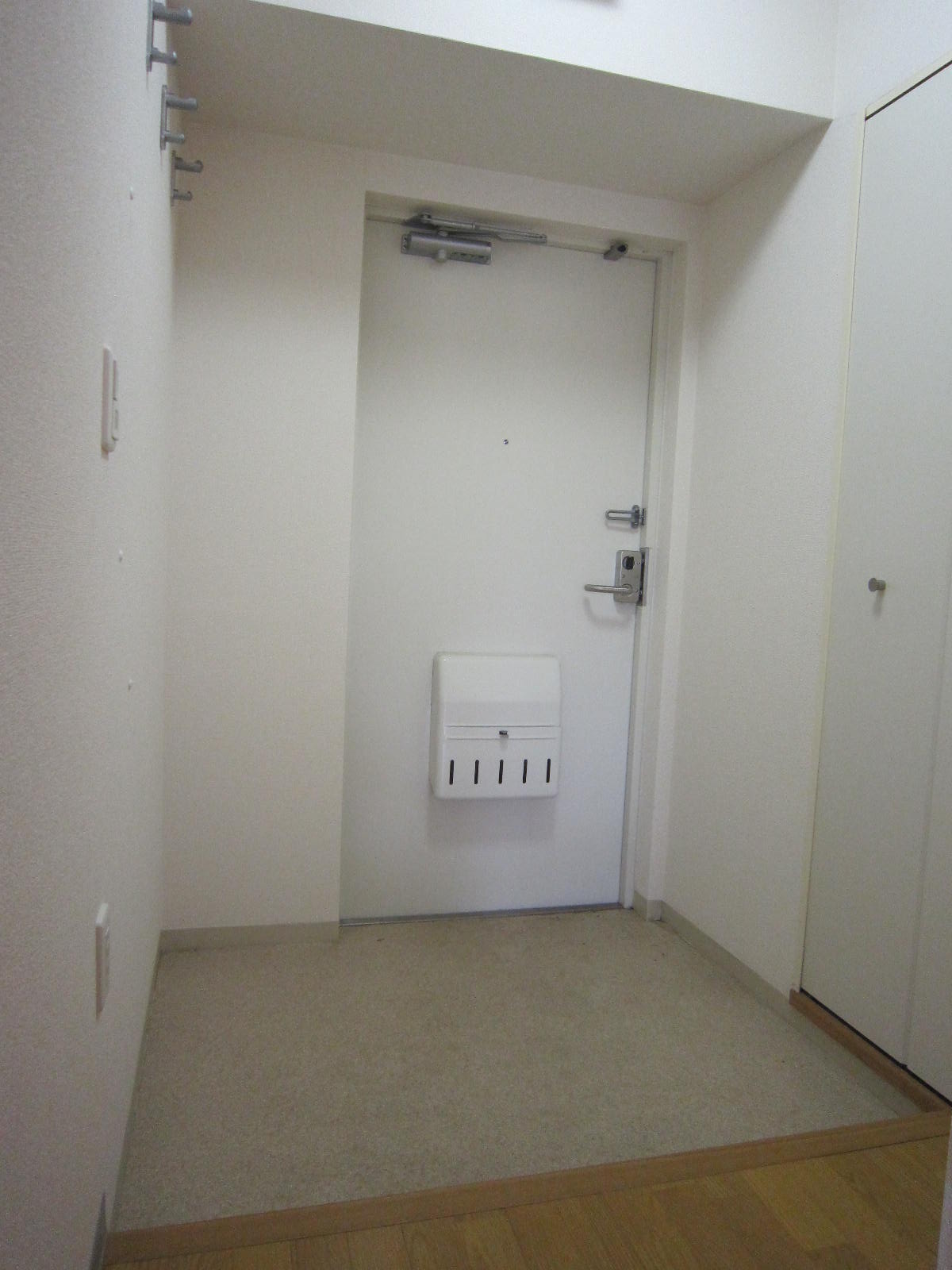 Entrance. Spacious large compartment in the front door