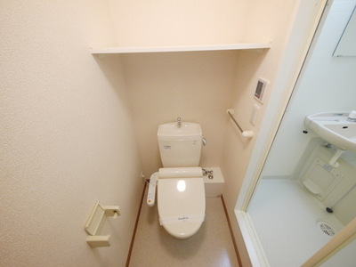 Toilet. Bathroom with a shower