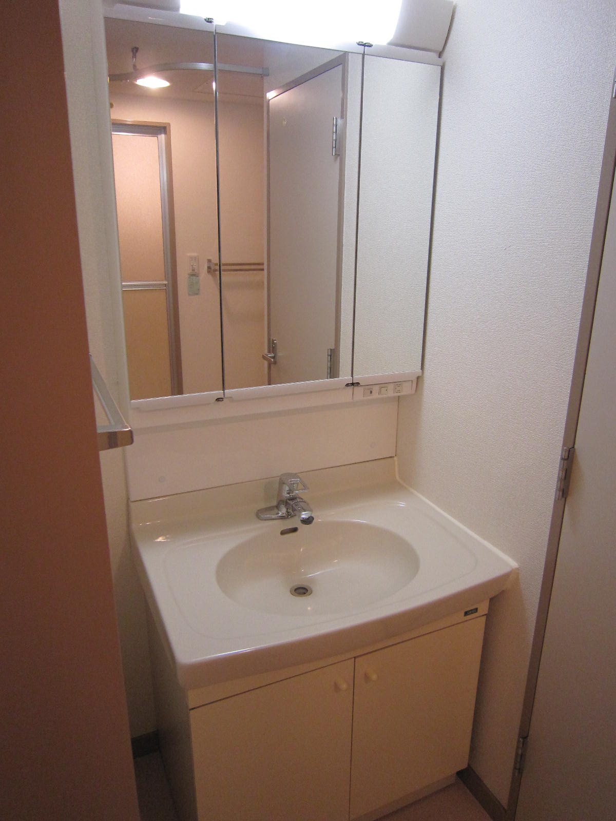Washroom. Bathroom vanity