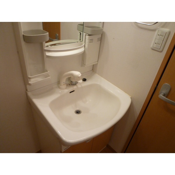 Washroom. Shampoo dresser