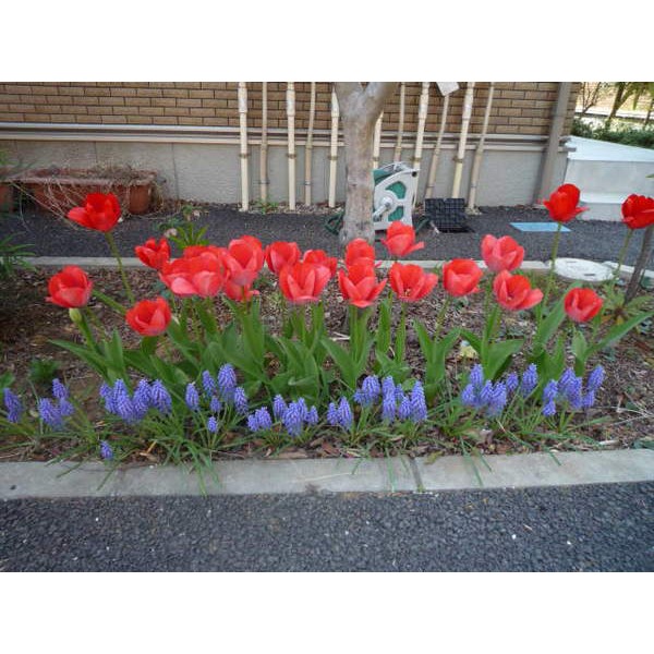 Other. Common area is also beautiful