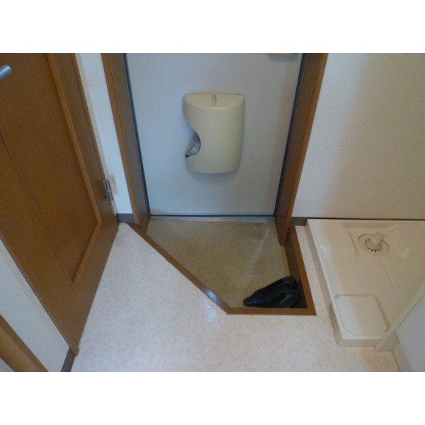 Entrance. Entrance space