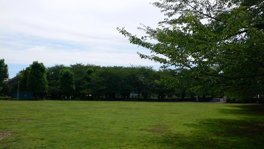 park. 350m to the humanities and sciences stand park