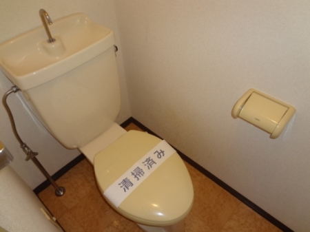 Toilet