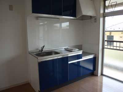 Kitchen. Easy-to-use bright kitchen