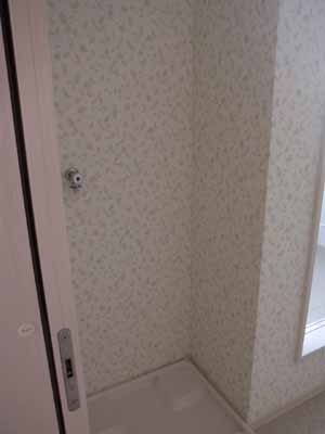 Washroom. Laundry Area