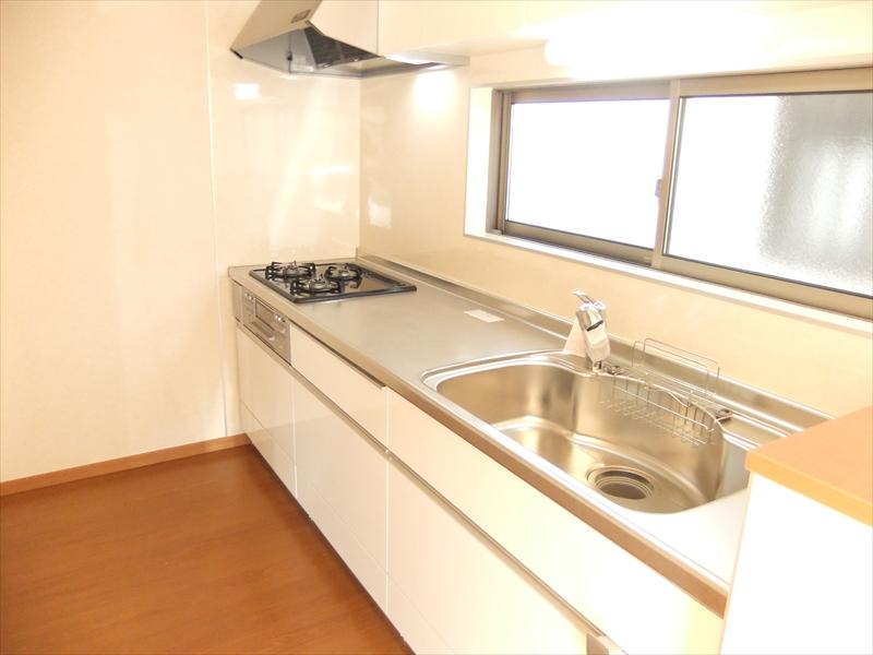 Kitchen. Indoor (11 May 2013) Shooting