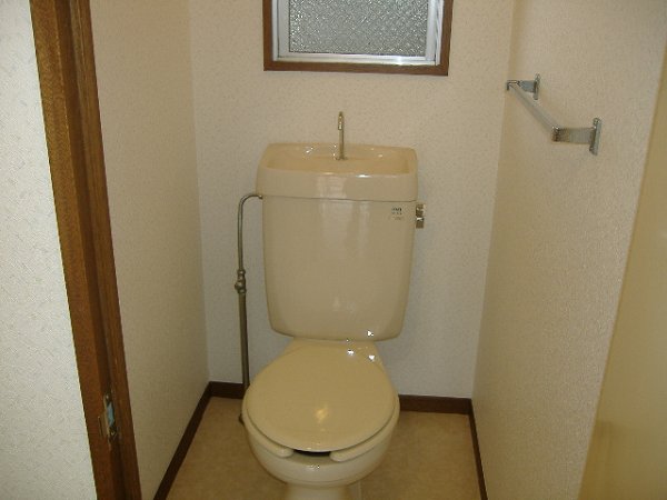 Other. Toilet