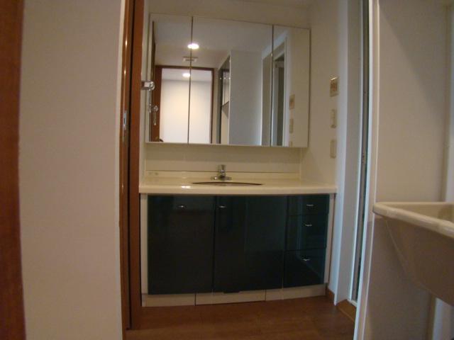 Wash basin, toilet. Indoor (11 May 2013) Shooting