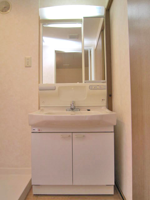 Washroom. Bathroom vanity