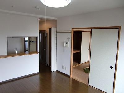 Living and room. Counter Type of living