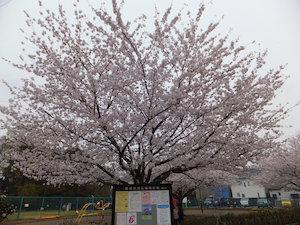 park. The second enoki children amusement to 220m