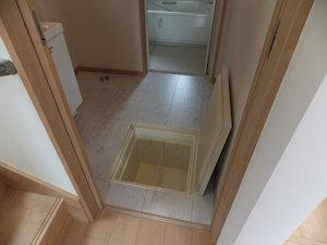 Other. Underfloor Storage