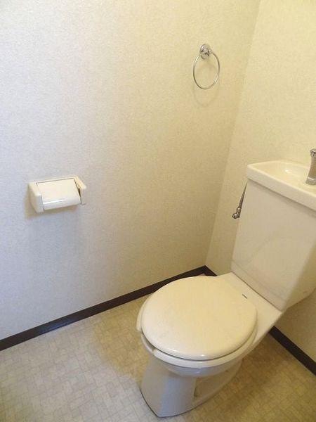 Toilet. Toilet of normal size