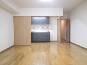 Living and room. Breadth of tatami LD10