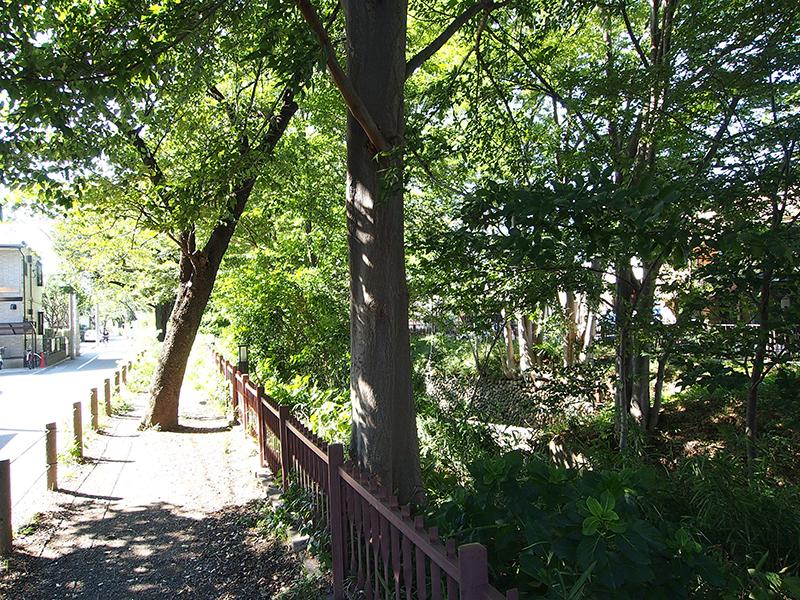 Other Environmental Photo. To Tamagawa 100m