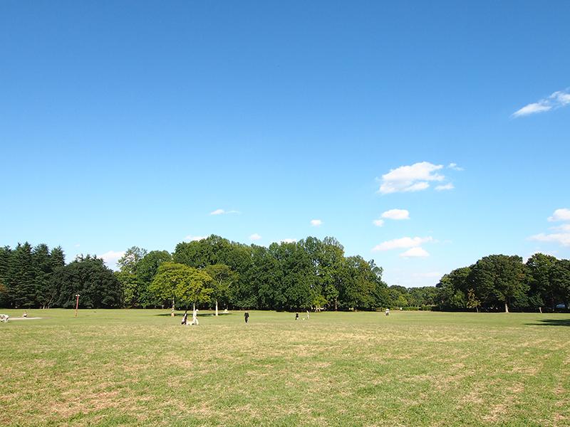 park. 550m to Koganei Park