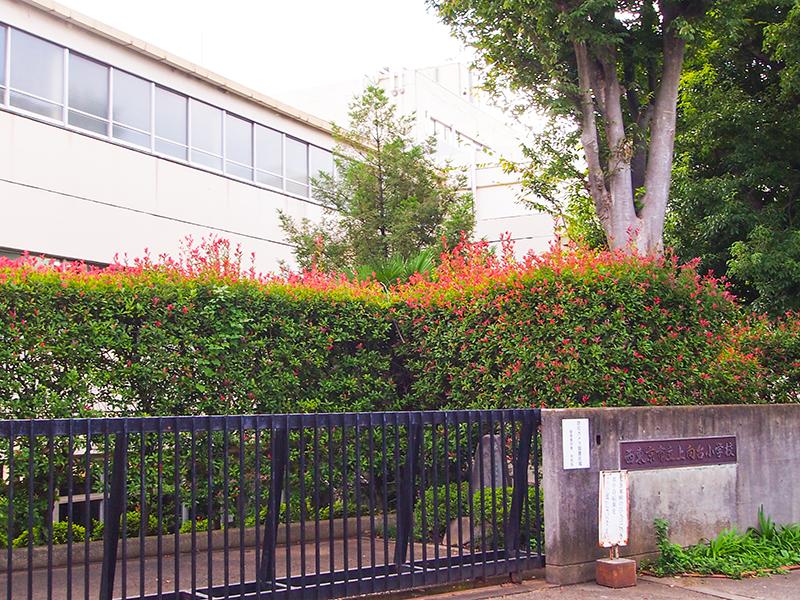 Primary school. 1100m until the Municipal upward stand elementary school