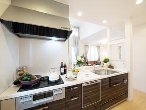 Such as equipment dish washing and drying machines and water purification function with hand shower faucet also fulfilling kitchen (same specifications)