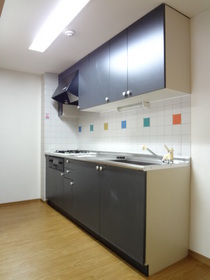 Kitchen. 3-neck gas grill with a system Kitchen