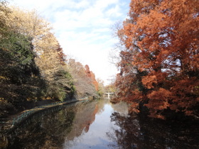 Other. Musashi Seki park (other) up to 200m