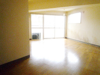 Living and room. Bright living room