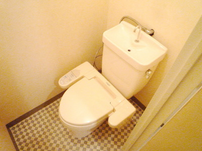 Toilet. Warm water washing toilet seat