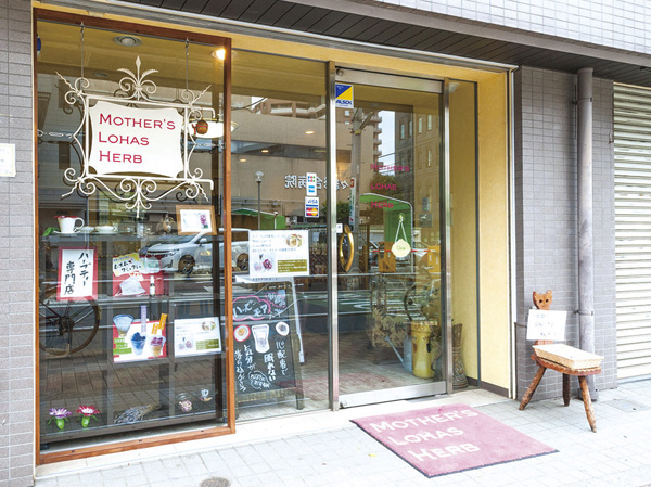 Surrounding environment. Mothers Rojas herbs (about 800m, A 10-minute walk)