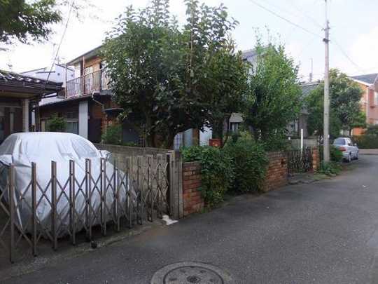 Local land photo. appearance