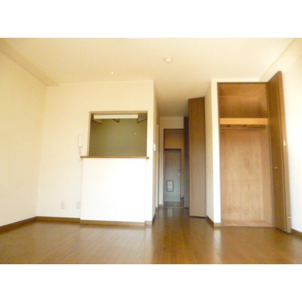 Living and room. Living